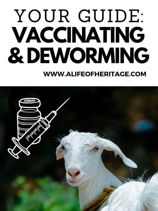 A Guide to Vaccinating and Deworming Goats