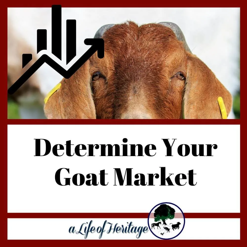 learn how to determine your goat market