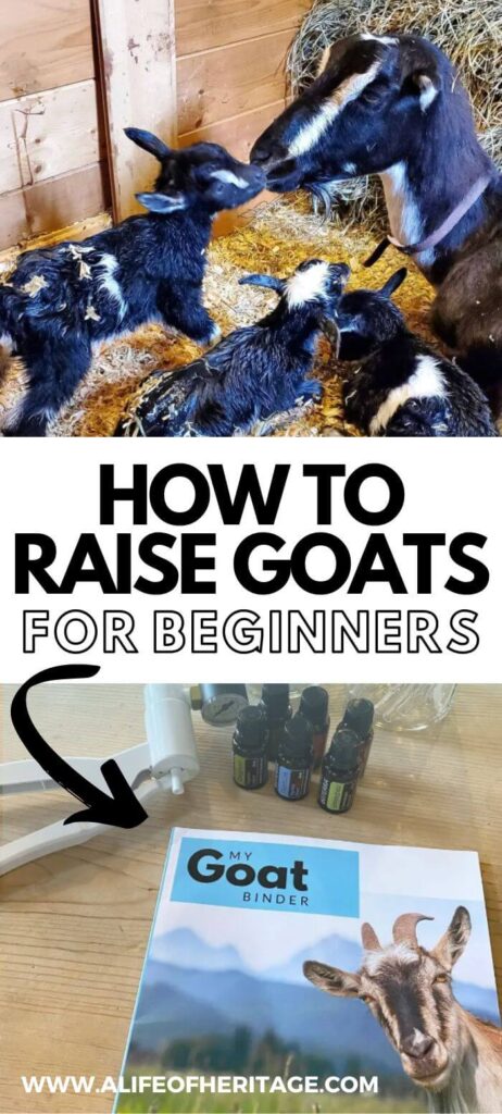 Let this be your guide to goat diseases