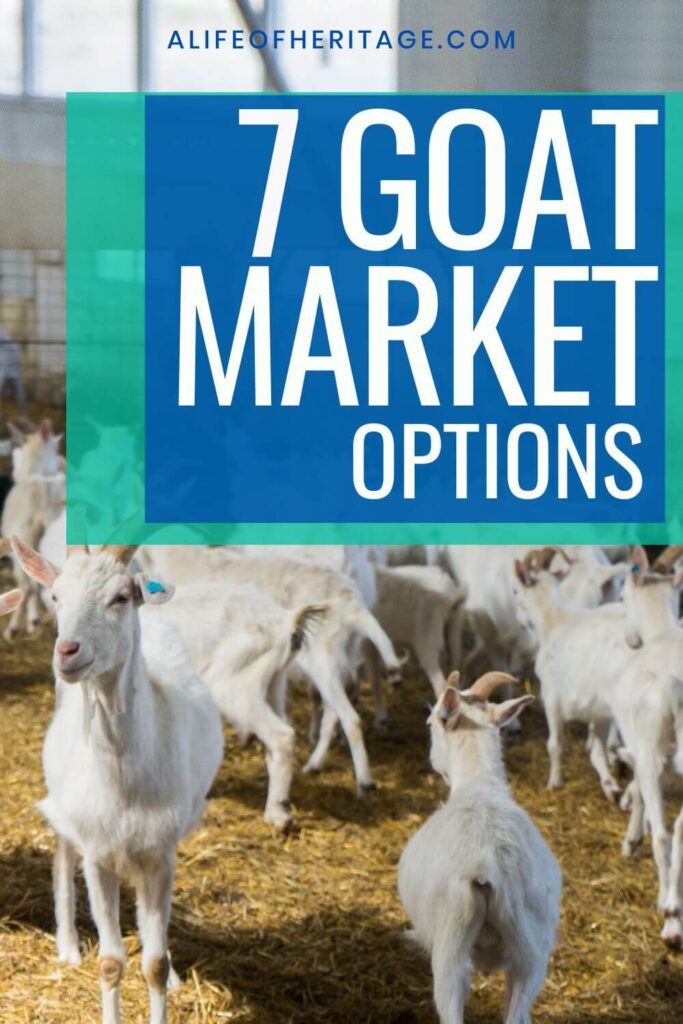 goat markets to choose from
