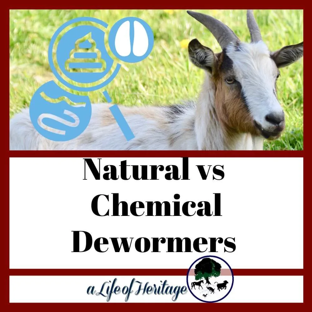 pros and cons of natural vs chemical dewormers