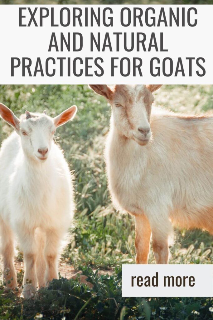 natural and organic thoughts about raising goats