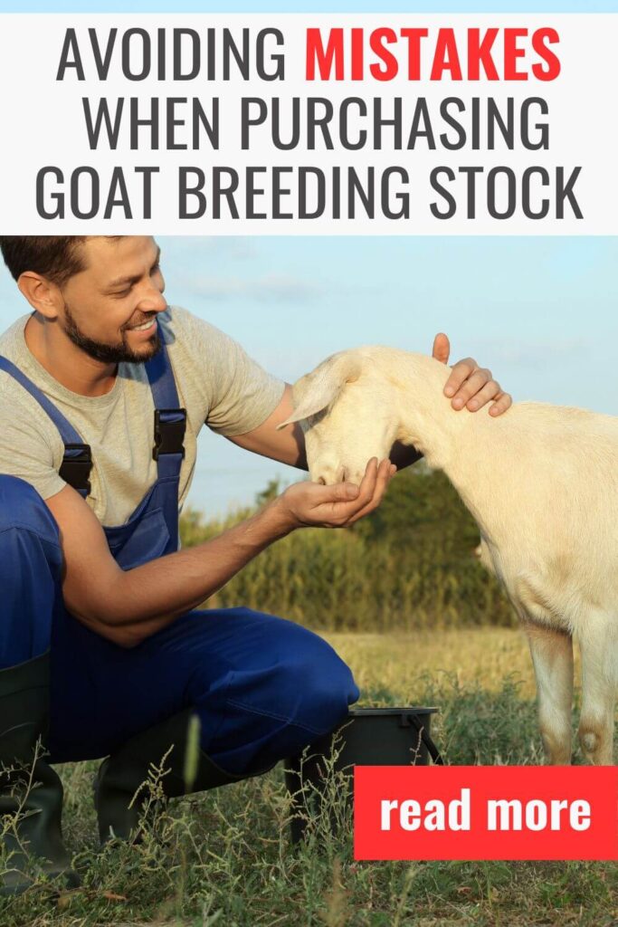 It's time to learn about the mistakes to avoid when you buy new goats for breeding