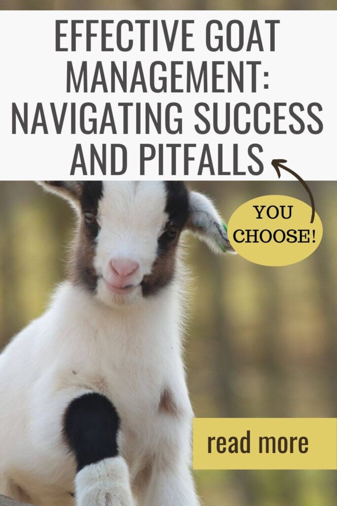 You choose if you'll have success or failure with goat management 