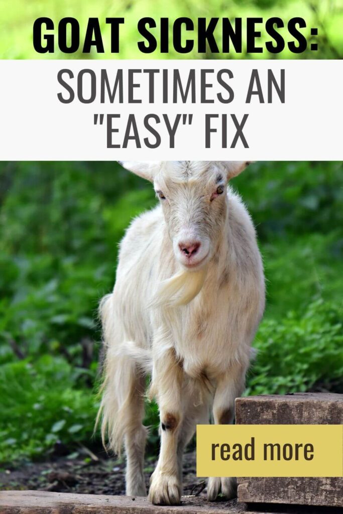 Goat sickness is sometimes an "easy" fix