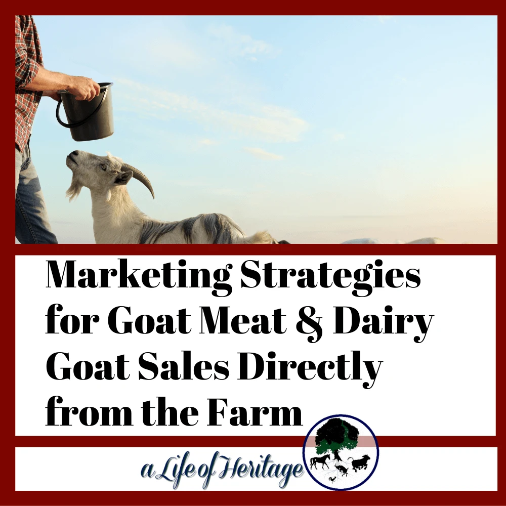 Learn 13 tips to market your goat products directly on your farm Marketing strategies for goat product sales