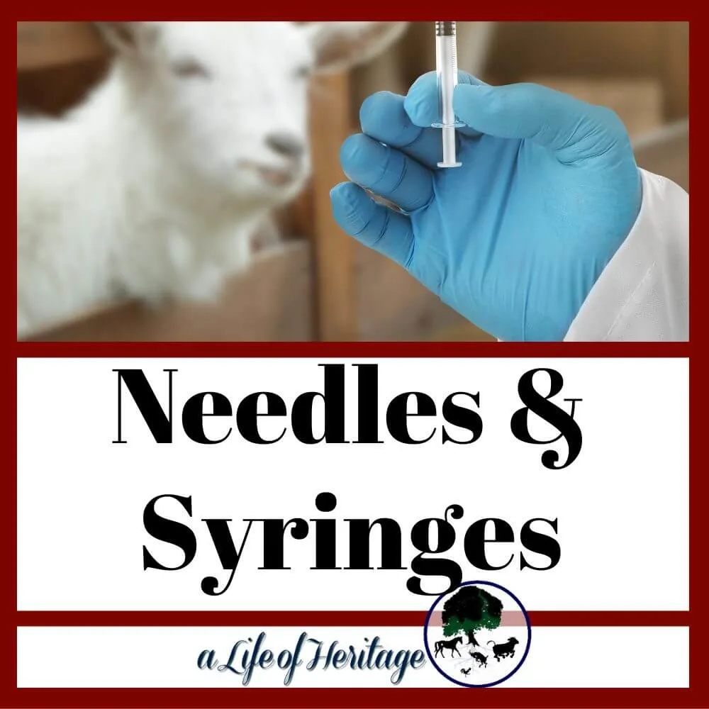 what out what syringes and needles to use for your goats