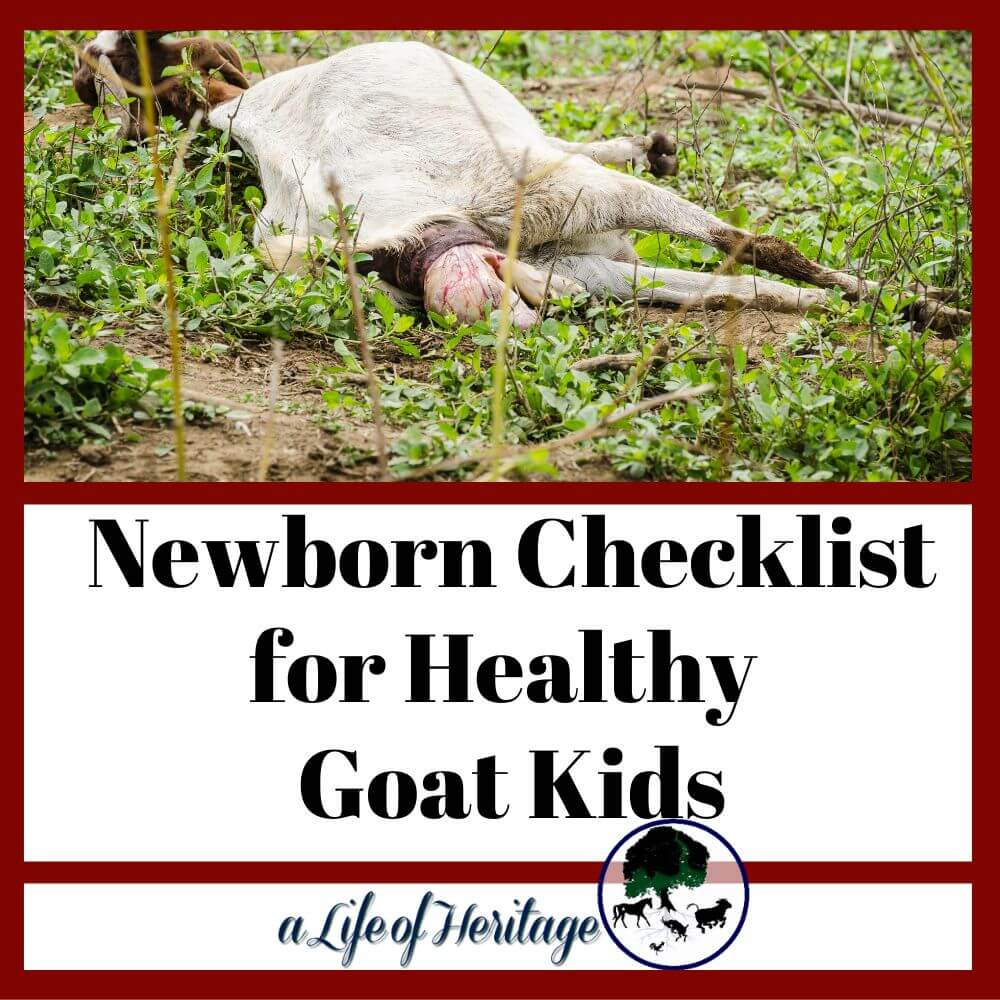 This is a great newborn checklist to look at while you kid!
