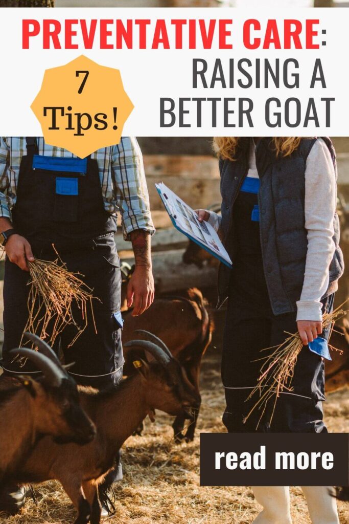 these 7 tips will help you with preventative care while you raise goats