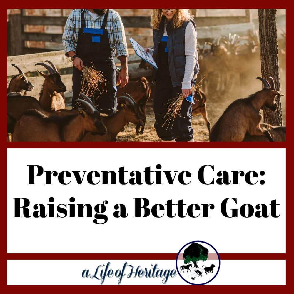 Raise a better goat with preventative care