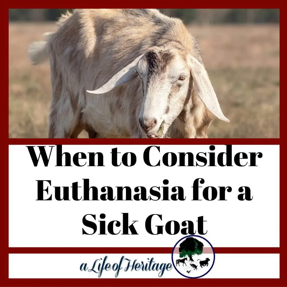 You may need to put down a goat and you need to know when