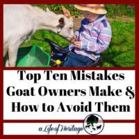 Avoid these top ten mistakes when raising goats