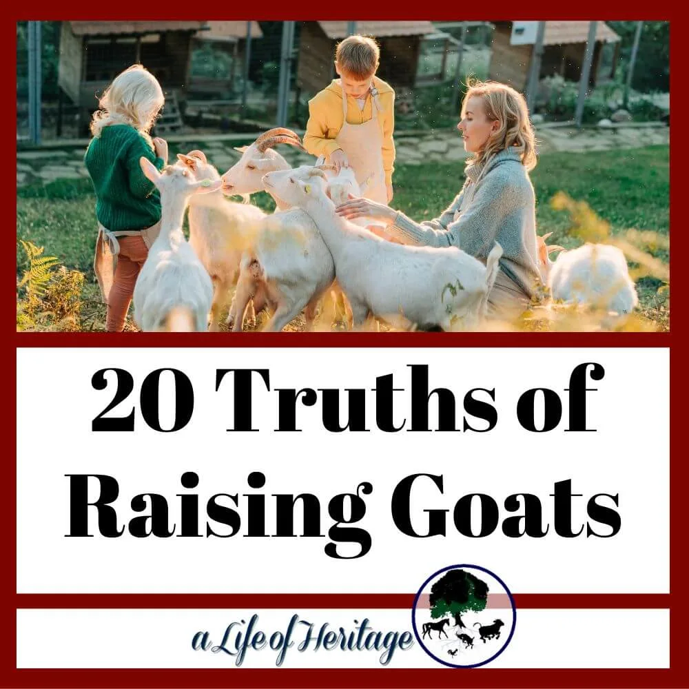 These truths about goats will help you raise. better goats