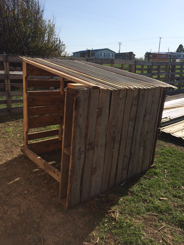 Build Shed: Our Goat Shelter Using Free Pallets