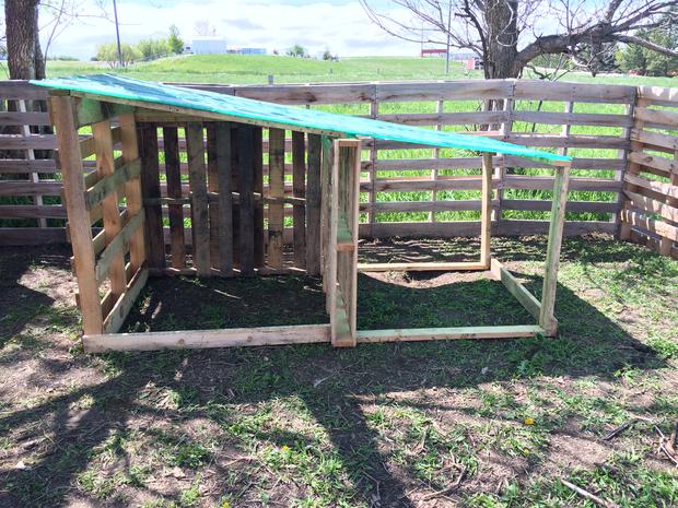 Wood Shed Design: Our Goat Shelter Using Free Pallets